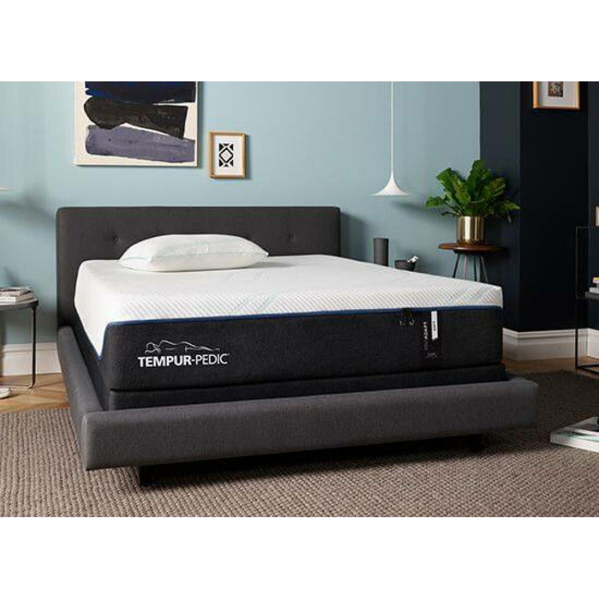 TEMPUR-ProAdapt Plush Mattress California King California King 14