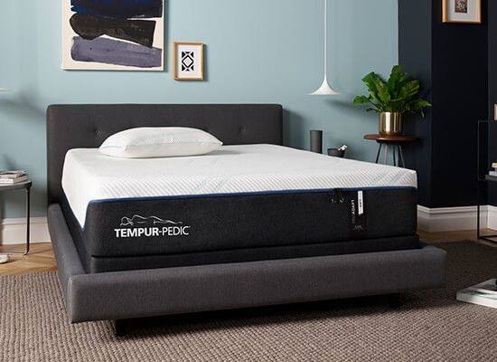 TEMPUR-ProAdapt Plush Mattress California King California King 19