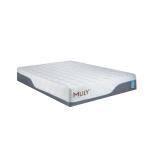 MLILY Harmony Chill 3.0