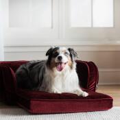 Duchess Fold Out Sofa, Merlot - Image 4